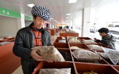 贵州铜仁:朵汝苗医药民族健康大产业_LYB220