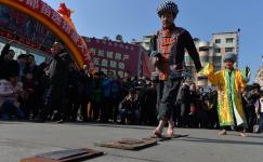 贵州铜仁:朵汝苗医药民族健康大产业_LYB220