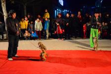 跑江湖杂耍艺人的真实生活_孙善旭