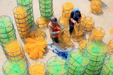 江苏连云港:编织地笼网致富