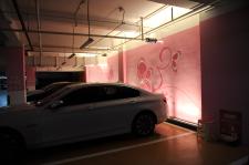 某停车场出现女士停车区 设置有SOS呼救器_新