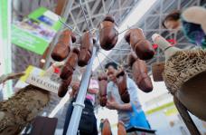 南宁东博会惊现男人生殖器木雕工艺品阳具 有