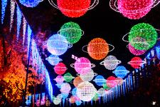 成都欢乐谷灯光秀出巨型公鸡 色彩艳丽造型逼