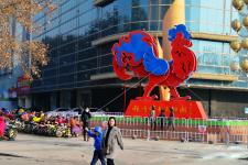 巨型大公鸡雕塑亮相邯郸街头