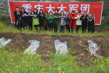 重庆离婚女性坟墓中感受死亡获得重生