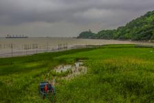 南通早晨江边风高云涌浪急