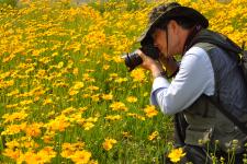 东海青松岭引客浴罢不能