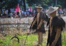 浙江武义:端午小长假 田园乐翻天