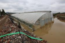 湖北襄阳:大学生创业者抵押房屋贷款 拒卖30万