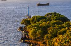 南通江边秋色夕照美_新闻--自然环境