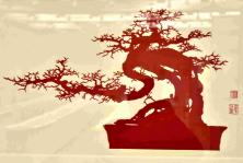 江苏如皋市一小学老师举办剪纸作品展迎新年_