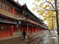 甘肃华亭:雨雪天气为新春佳节造景助兴(