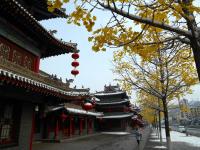 甘肃华亭:雨雪天气为新春佳节造景助兴(