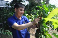 黑龙江省肇东市温室南方大樱桃上市了(