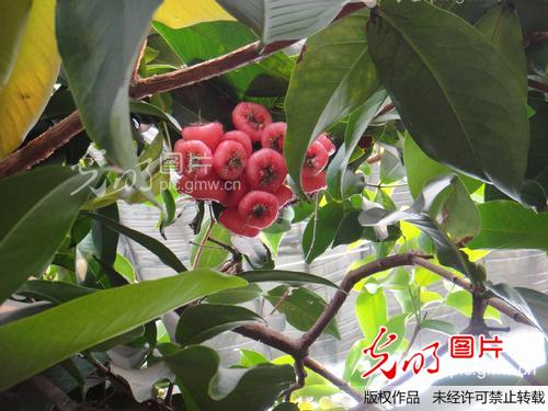 秦皇岛北戴河集发生态园(3/14)