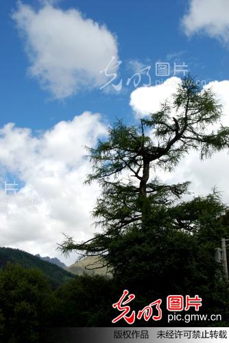 四川稻城亚丁风光_何啸虎