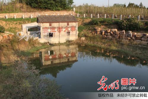 1964年毛泽东提出农业学大寨