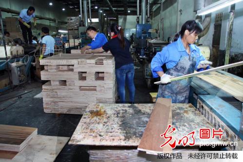 浙江嘉善:裕华木业完胜美国双反调查