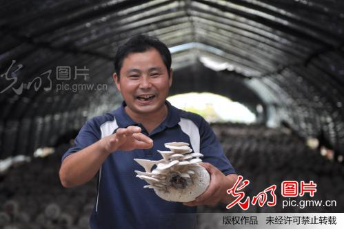 2012年全年农村居民人均纯收入7917元_贺友