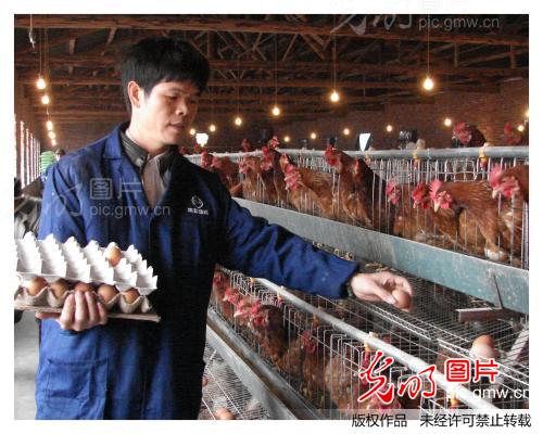 北京菜老板回乡办起家庭农场_李柳生