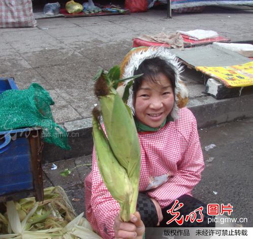 江西吉安现双胞胎玉米_李柳生