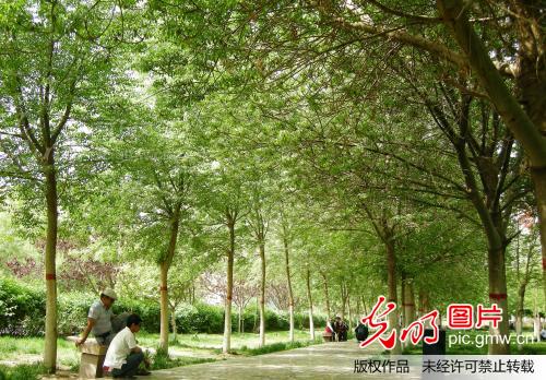 新疆吐鲁番迎来33℃高温天气 成名副其实火洲