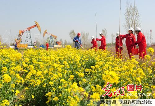 河南濮阳:中原油气田定为国家级绿色矿山试点