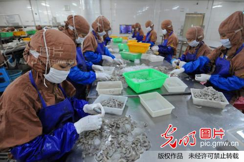 广西防城港:休渔期间渔不休_梁富盈