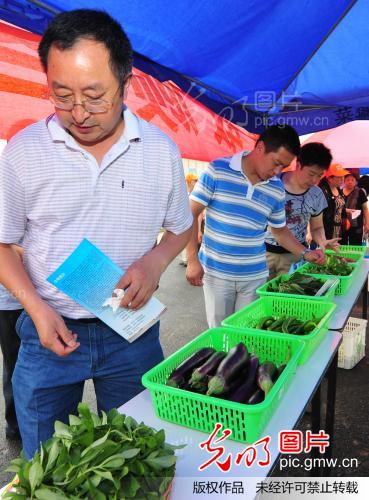 安徽肥西:采摘瓜果 体验快乐_新闻