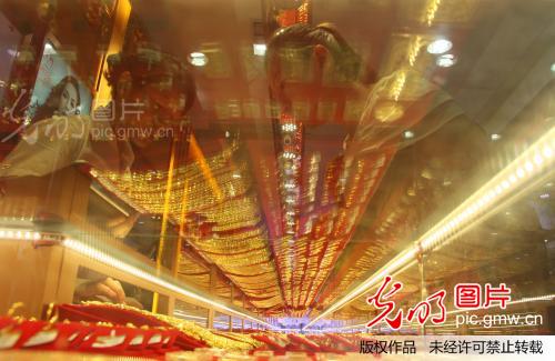 武陟gdp_武陟油茶