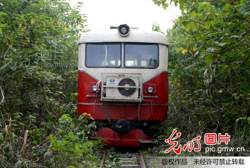 河南许昌:清除窄轨铁路两侧杂树_新闻