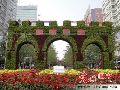 昆明:植物造型展示城市建筑特色意向_梅国建