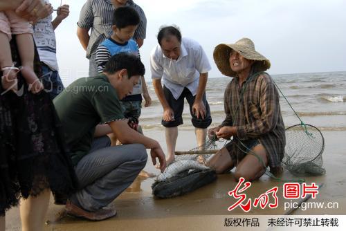 古老的挂网捕鱼法_创意--乡土人文