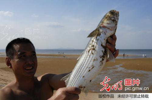 古老的挂网捕鱼法_创意--乡土人文_ 光明图片