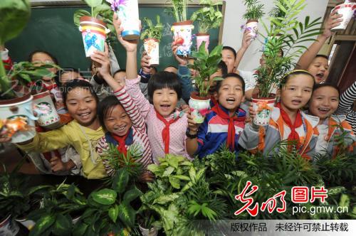 合肥:小学生绿色创意盆栽倡环保_新闻