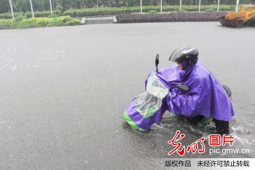 浙江绍兴:强台风菲特横扫 滨海豪雨如注 局地