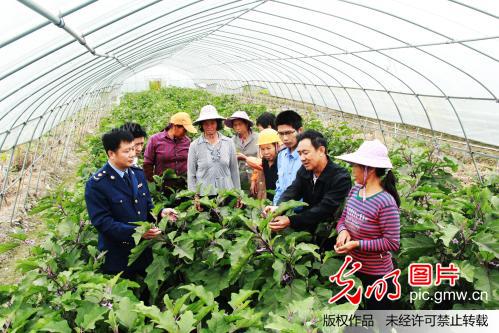 江西安远:扶持家庭农场发展_黄崇发