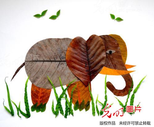 秋叶粘贴成画_连国庆_ 光明图片 图片