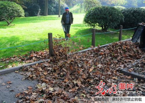 "吹风机"扫落叶(1/4)图片