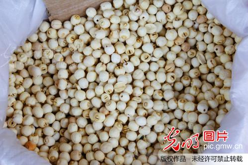 上海召稼楼古镇_郭辉_图片