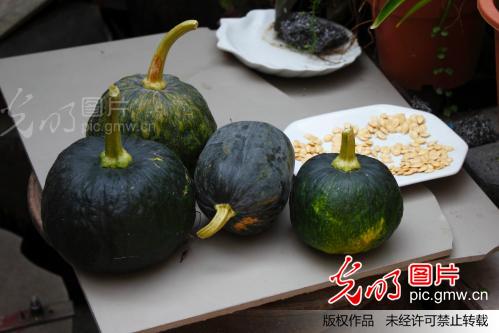 上海召稼楼古镇_郭辉_图片