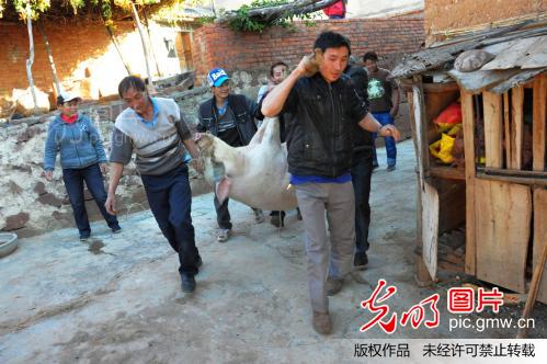 直苴彝族杀猪节_民生影像--第二届公益福彩