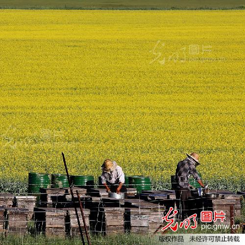 草原上的养蜂人_民生影像--第二届公益福彩