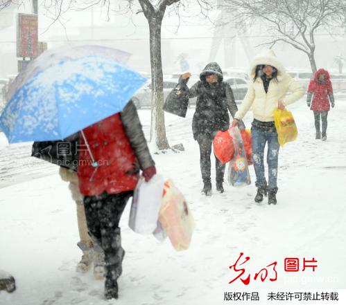 太和天气_太和天气预报15天查询_亳州天气 -