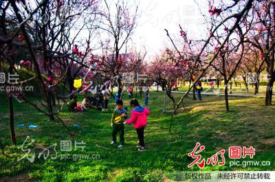 桃李无言下自成蹊_新闻