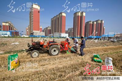 河南滑县:农民住上新楼房 责任田里播种忙