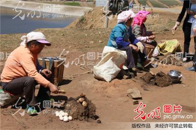 锄禾日当午,挣钱真辛苦。谁知生中餐,分分皆辛
