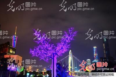 广州夜色:感受珠江酒吧风情_胡庆明