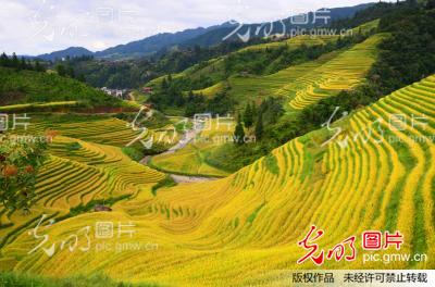 腰带梯田秀美迷人_普陀山杯 第三届中国旅游景