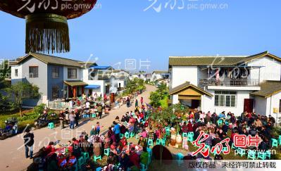四川泸州:坝坝宴摆在新农村_王承伟